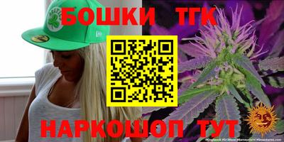 стаф Кингисепп