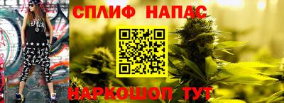 тгк Канаш